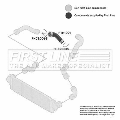 Charge Air Hose (FTH1091)