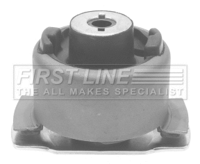 Bushing, axle bracket (FSK6540)