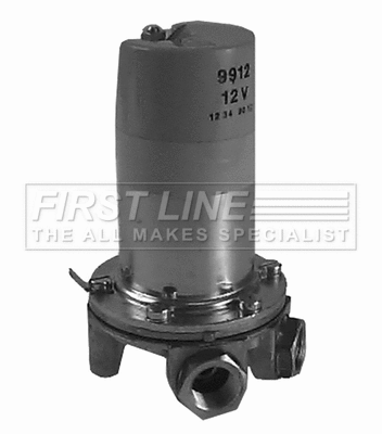 Fuel Pump (FFP1347)
