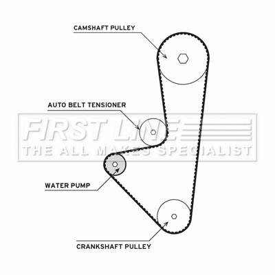 Water Pump & Timing Belt Kit (FTW1015)
