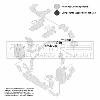Charge Air Hose (FTH1630)