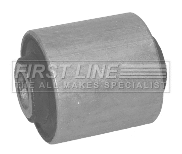 Mounting, control/trailing arm (FSK6706)