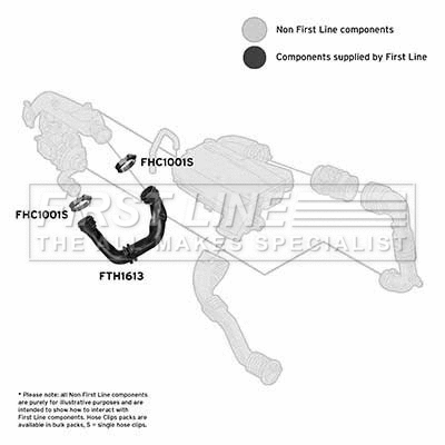 Charge Air Hose (FTH1613)
