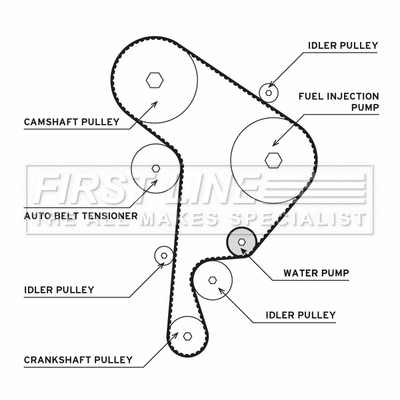Water Pump & Timing Belt Kit (FTW1005)