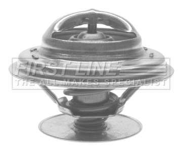 Thermostat, coolant (FTS173.87)