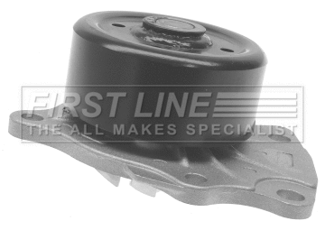 Water Pump, engine cooling (FWP2285)