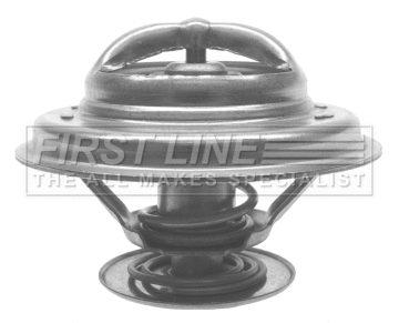 Thermostat, coolant (FTS199.79)