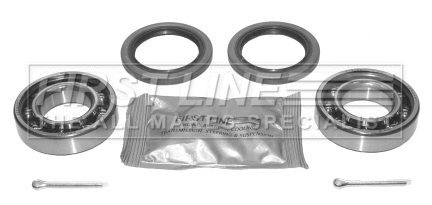 Wheel Bearing Kit (FBK161)