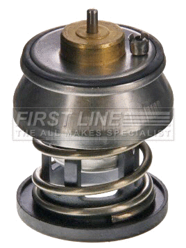 Thermostat, coolant (FTK531)