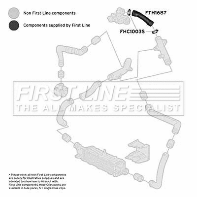 Charge Air Hose (FTH1687)