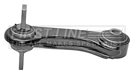Control/Trailing Arm, wheel suspension (FCA6415)
