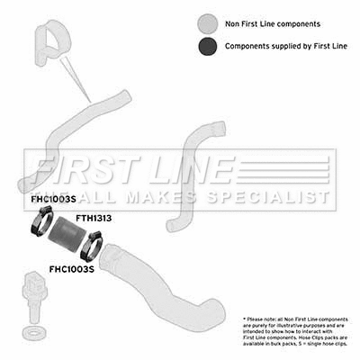 Charge Air Hose (FTH1313)