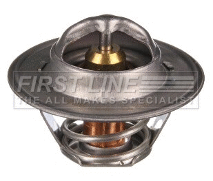 Thermostat, coolant (FTS104.82)