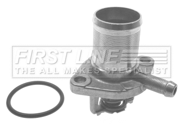 Thermostat, coolant (FTS272.89)