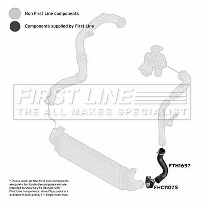 Charge Air Hose (FTH1697)