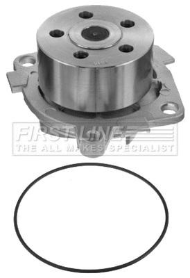Water Pump, engine cooling (FWP1864)