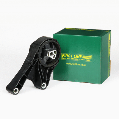 Mounting, engine (FEM4256)