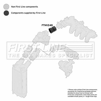 Charge Air Hose (FTH1248)