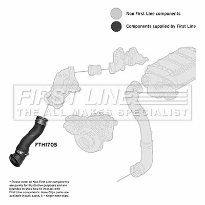 Charge Air Hose (FTH1705)