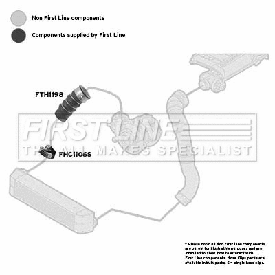 Charge Air Hose (FTH1198)