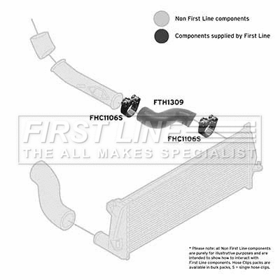 Charge Air Hose (FTH1309)