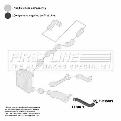 Charge Air Hose (FTH1071)