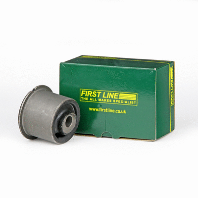 Mounting, control/trailing arm