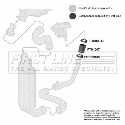 Charge Air Hose (FTH1017)