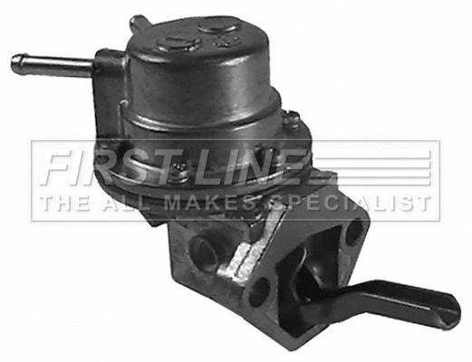 Fuel Pump (FFP410)