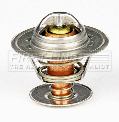 Thermostat, coolant (FTS193.87)