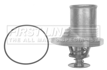 Thermostat, coolant (FTS421.82)