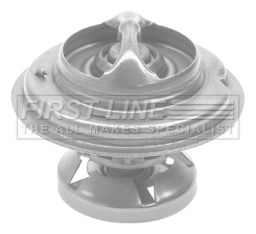 Thermostat, coolant (FTS182.80)
