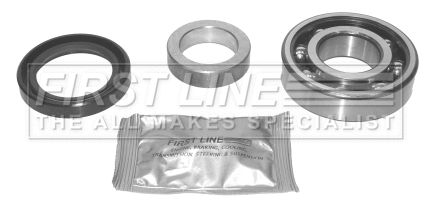 Wheel Bearing Kit (FBK317)