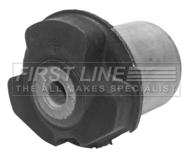 Bushing, axle beam (FSK6566)