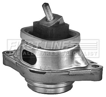 Mounting, engine (FEM4080)