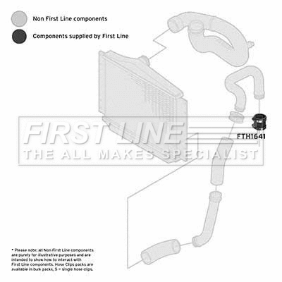 Charge Air Hose (FTH1641)