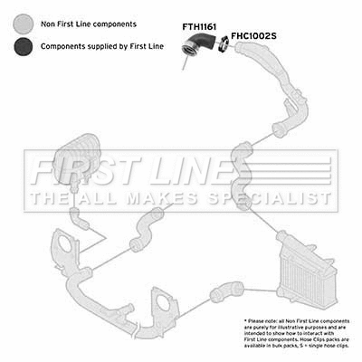Charge Air Hose (FTH1161)