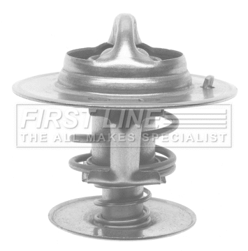 Thermostat, coolant (FTS196.88)