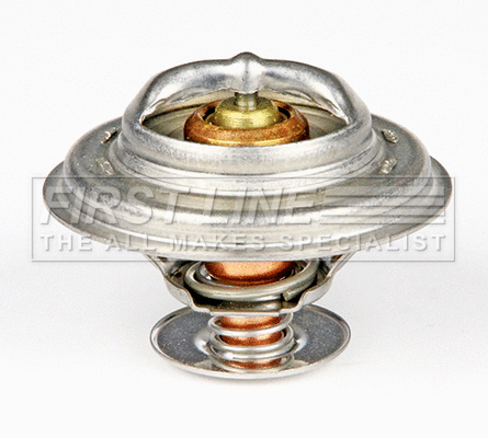 Thermostat, coolant (FTS385.80)