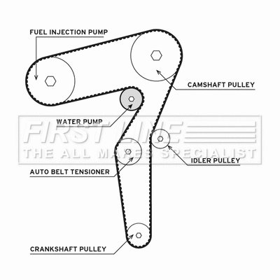 Water Pump & Timing Belt Kit (FTW1021)