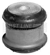 Mounting, engine (FEM3138)