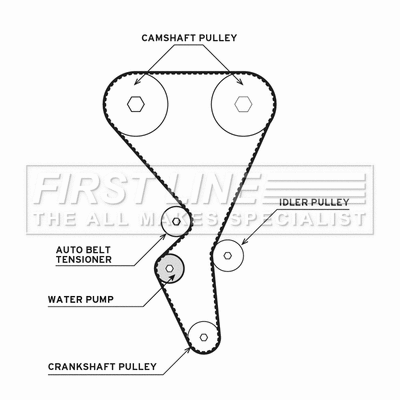 Water Pump & Timing Belt Kit (FTW1017)