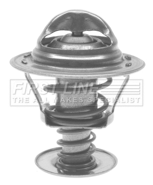 Thermostat, coolant (FTS168.89)