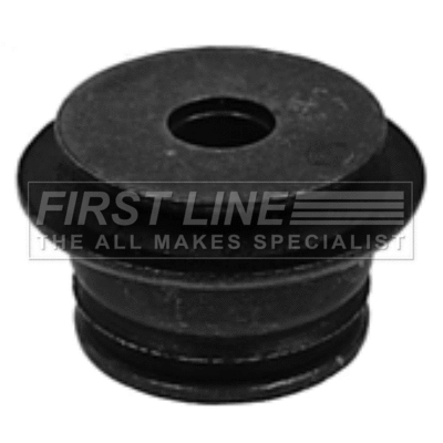 Bushing, axle bracket (FSM2003)