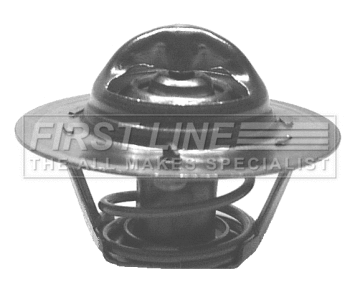 Thermostat, coolant (FTS428.77)