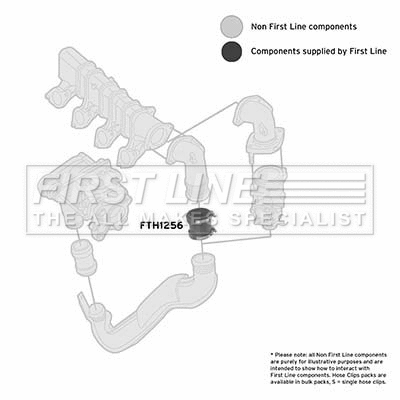 Charge Air Hose (FTH1256)