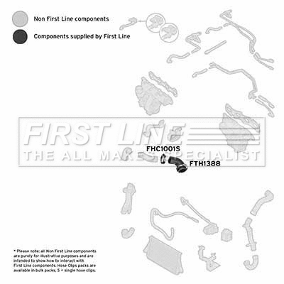Charge Air Hose (FTH1388)