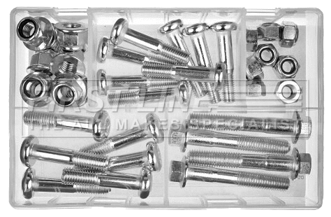 Fastening Bolt, control arm (FSK6535)