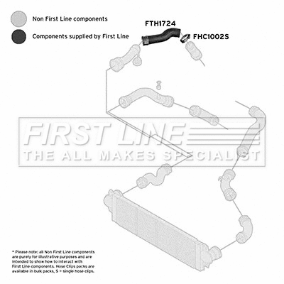 Charge Air Hose (FTH1724)