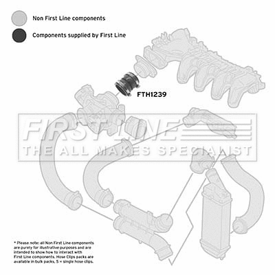 Charge Air Hose (FTH1239)